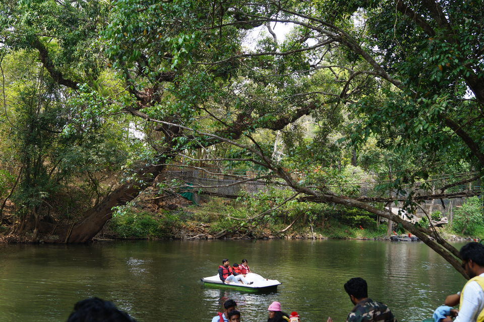 Photo of A coorg trip that went according to plan! 2022 (well detailed) by udhankar