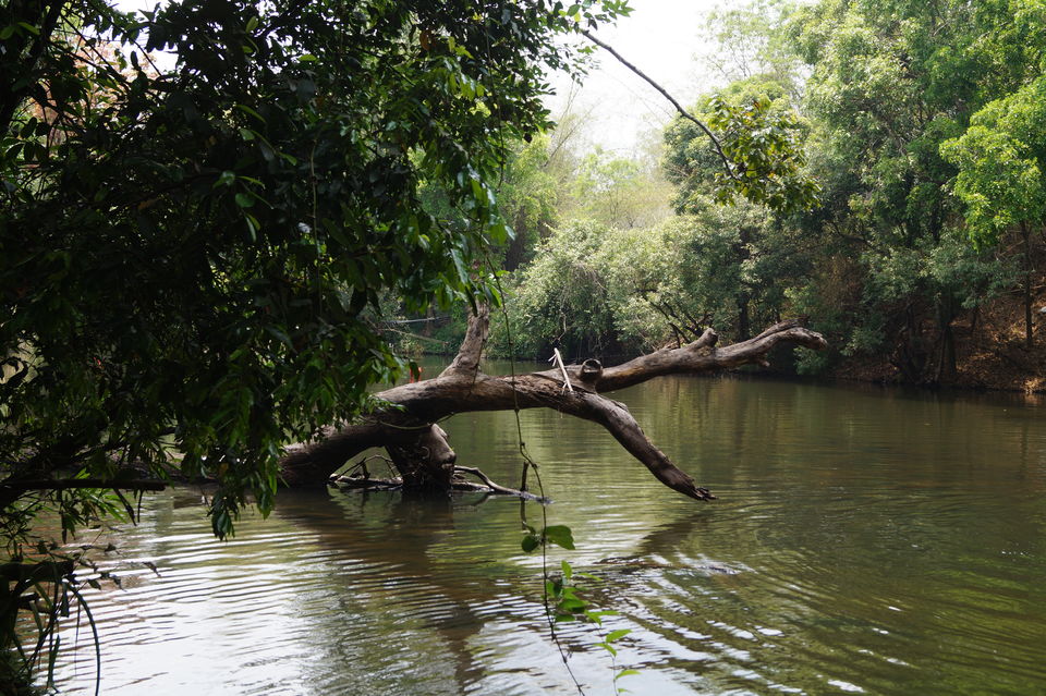 Photo of A coorg trip that went according to plan! 2022 (well detailed) by udhankar
