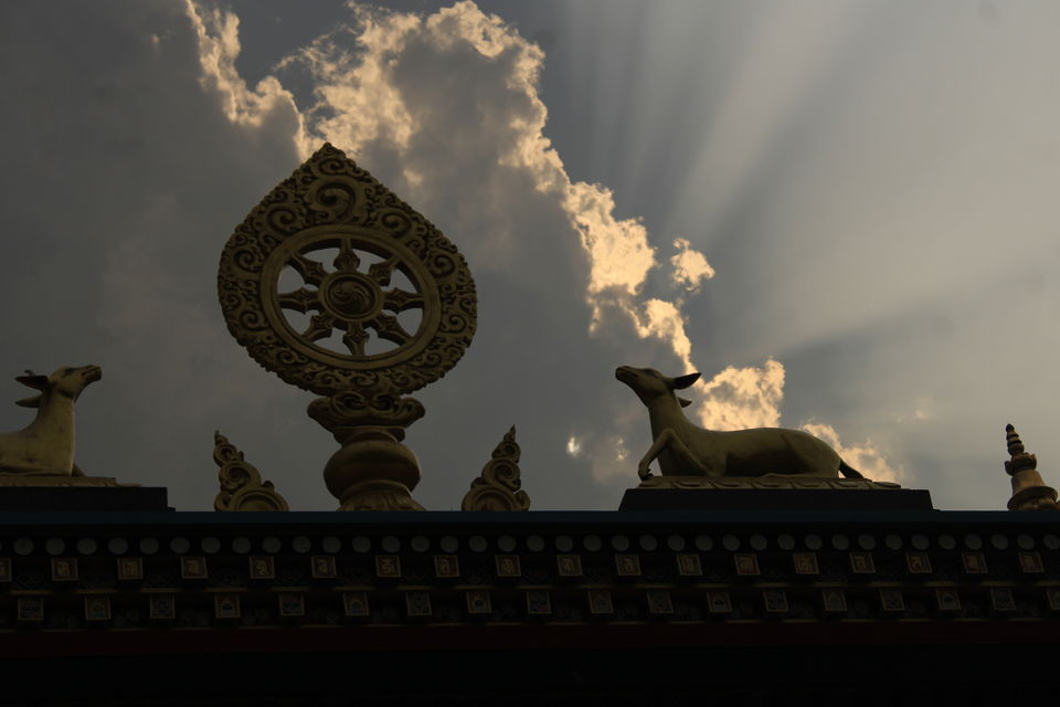 Photo of A coorg trip that went according to plan! 2022 (well detailed) by udhankar