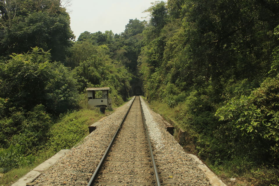 Photo of A coorg trip that went according to plan! 2022 (well detailed) by udhankar