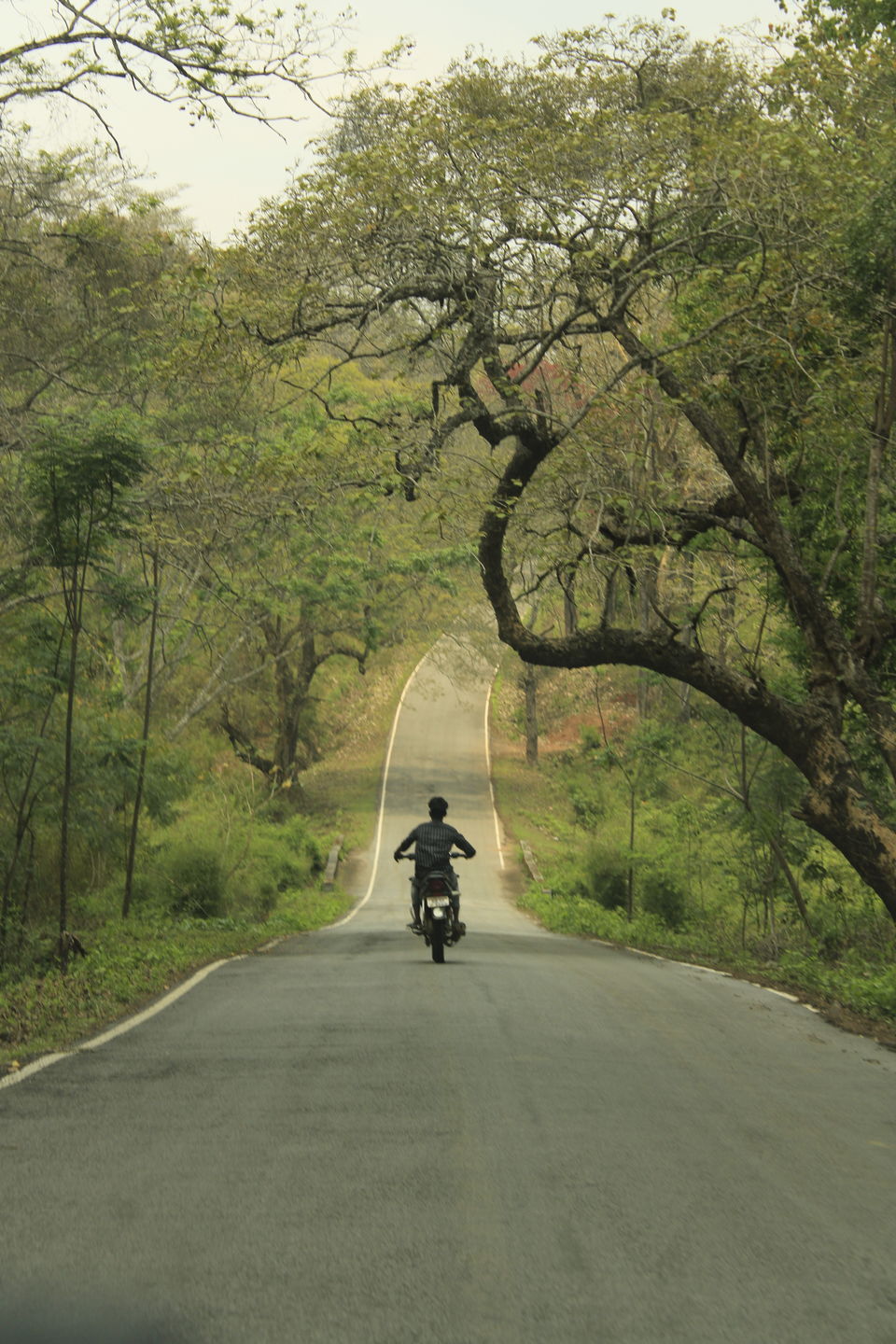 Photo of A coorg trip that went according to plan! 2022 (well detailed) by udhankar