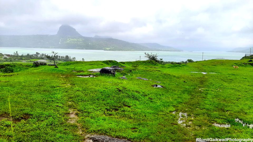 Photo of A serene Lake showcasing the beauty of Nature !!! by Ronit Rajesh Gaikwad