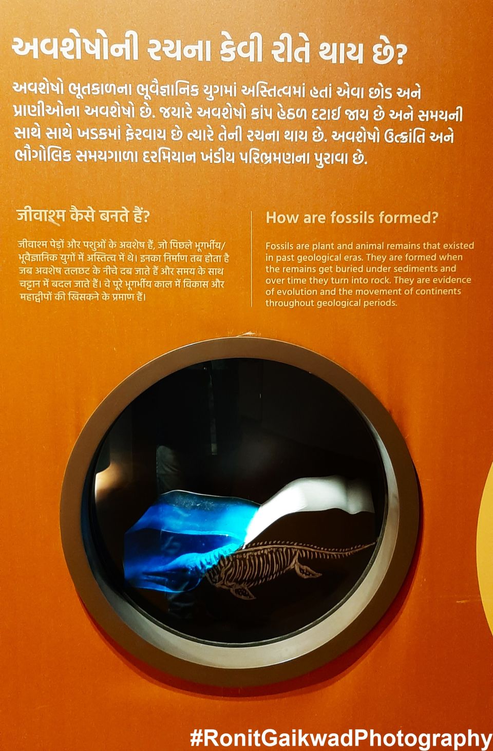 Photo of A museum that showcases history of Kutch in Ethereal Form !!! by Ronit Rajesh Gaikwad