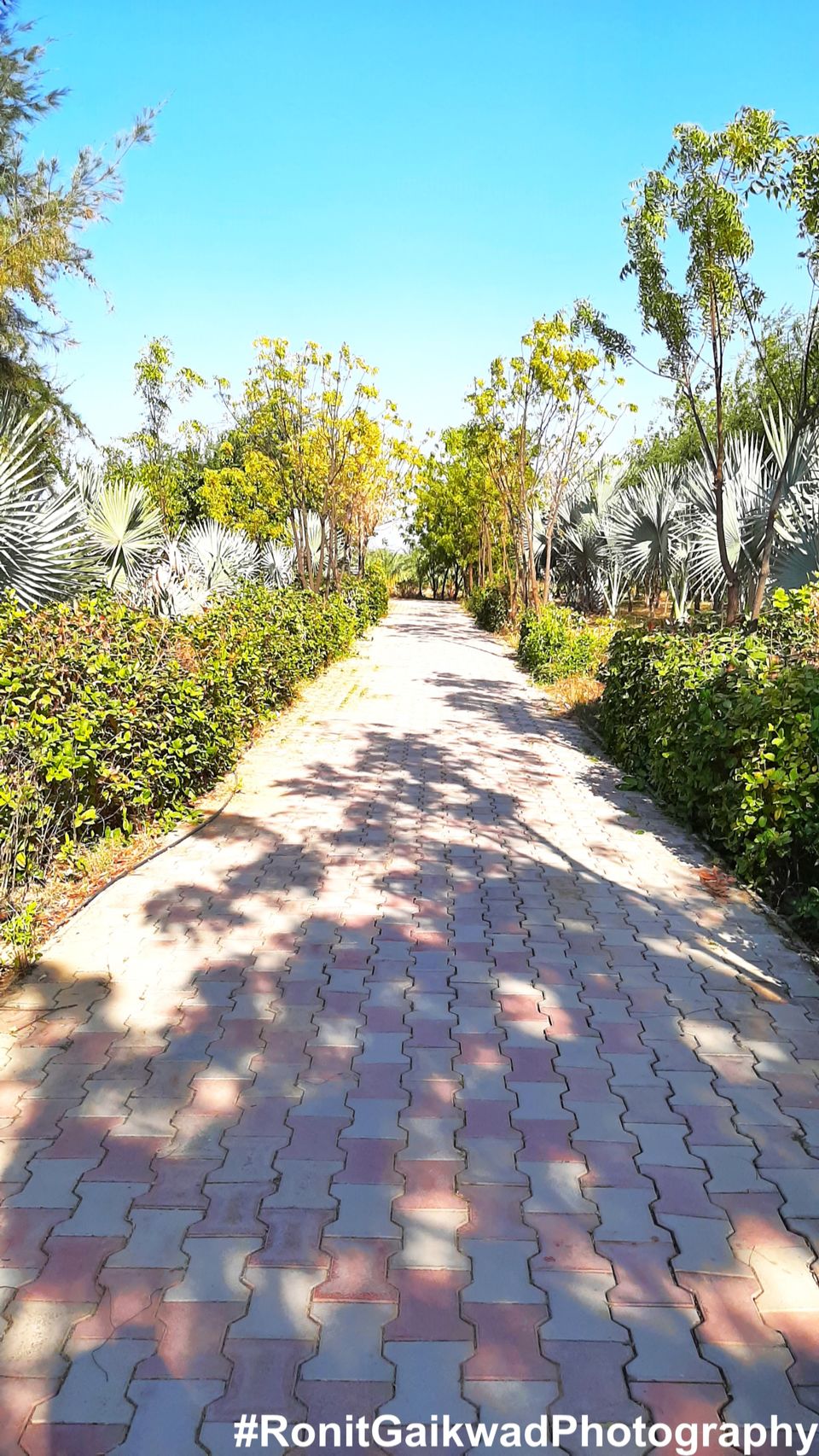 Photo of A clean and serene garden that depicts the valor of our armed forces !!! by Ronit Rajesh Gaikwad