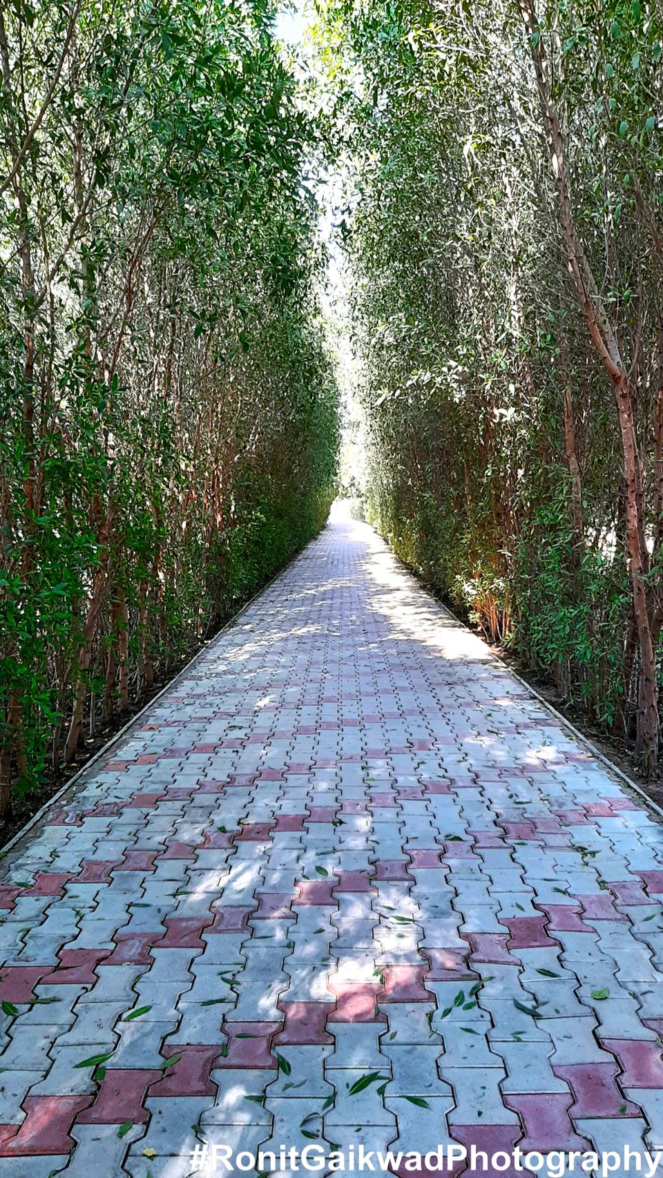 Photo of A clean and serene garden that depicts the valor of our armed forces !!! by Ronit Rajesh Gaikwad