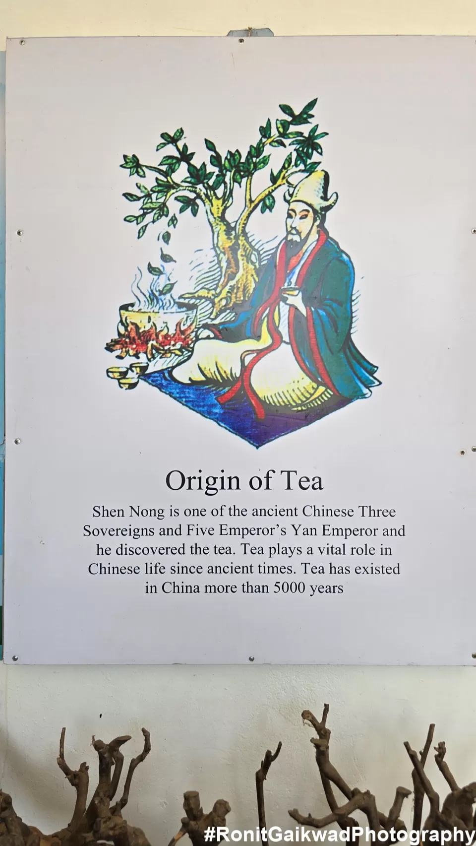 Photo of A museum showcasing the wonderful history of Tea alongwith a cafe serving delicious coffee drinks !! by Ronit Rajesh Gaikwad
