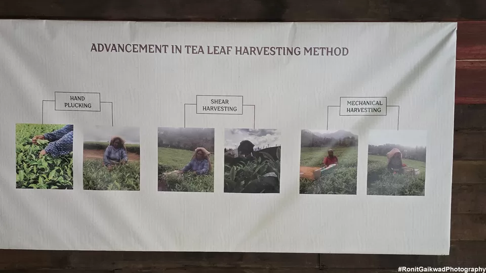 Photo of A museum showcasing the wonderful history of Tea alongwith a cafe serving delicious coffee drinks !! by Ronit Rajesh Gaikwad