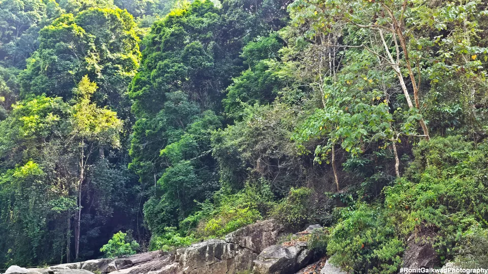 Photo of A waterfall with a scenic background of the hills !!! by Ronit Rajesh Gaikwad