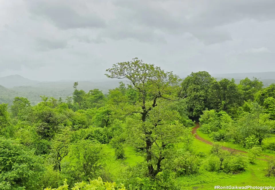 Photo of A trek through beautiful forest & mountains with flowing waterfalls yet a difficult trek in monsoon. by Ronit Rajesh Gaikwad