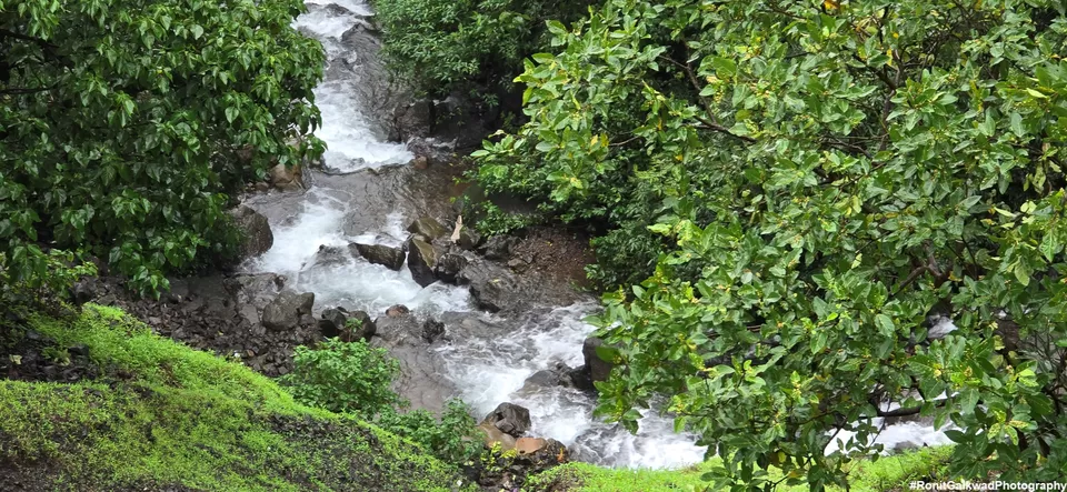 Photo of A ghat with natural beauty of lush green forests and waterfalls flowing down the hills !!! by Ronit Rajesh Gaikwad
