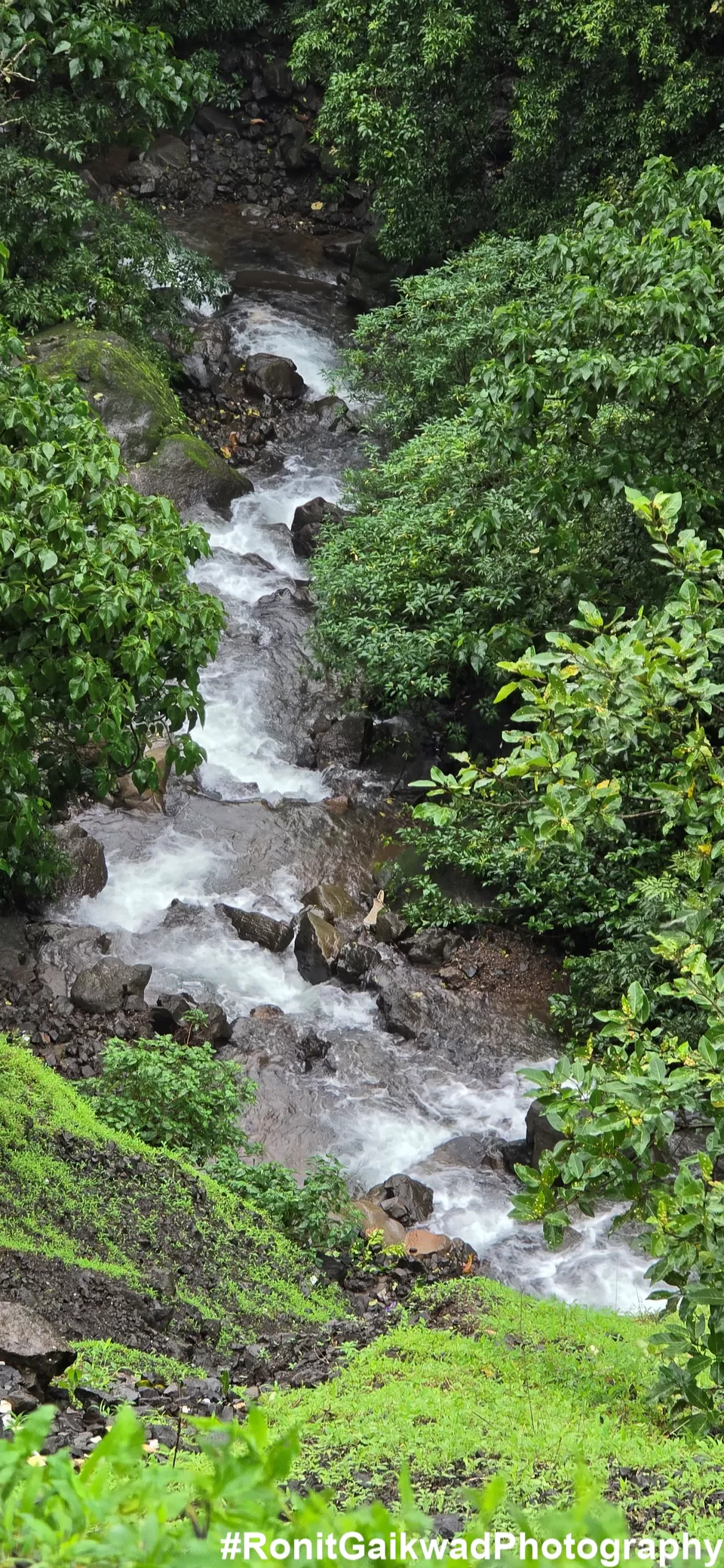 Photo of A ghat with natural beauty of lush green forests and waterfalls flowing down the hills !!! by Ronit Rajesh Gaikwad