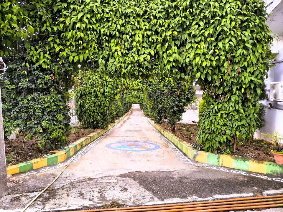 Photo of A Road Trip to Hassan: Temples, Trails & Tranquility by Rakesh Chilumuru