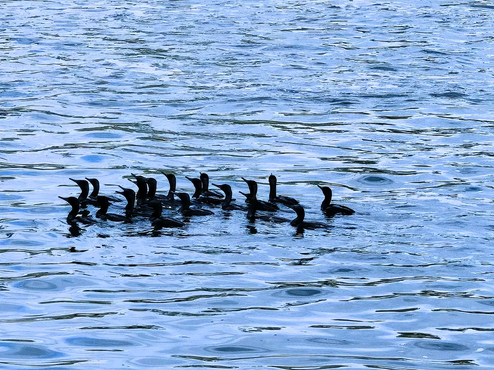 Photo of A Road Trip to Hassan: Temples, Trails & Tranquility by Rakesh Chilumuru