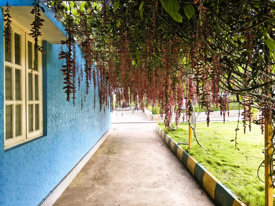 Photo of A Road Trip to Hassan: Temples, Trails & Tranquility by Rakesh Chilumuru