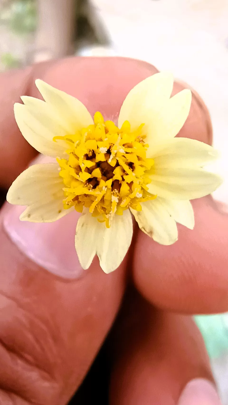 Photo of A Road Trip to Hassan: Temples, Trails & Tranquility by Rakesh Chilumuru