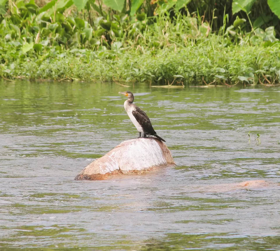 Photo of A Road Trip to Hassan: Temples, Trails & Tranquility by Rakesh Chilumuru