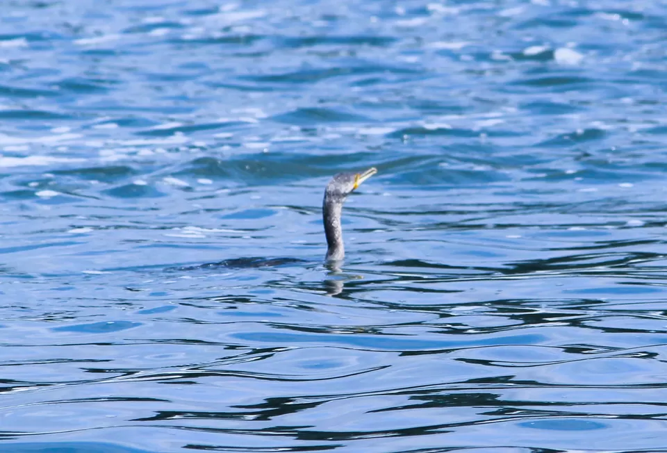 Photo of A Road Trip to Hassan: Temples, Trails & Tranquility by Rakesh Chilumuru