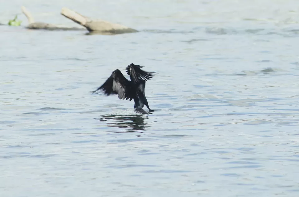 Photo of A Road Trip to Hassan: Temples, Trails & Tranquility by Rakesh Chilumuru