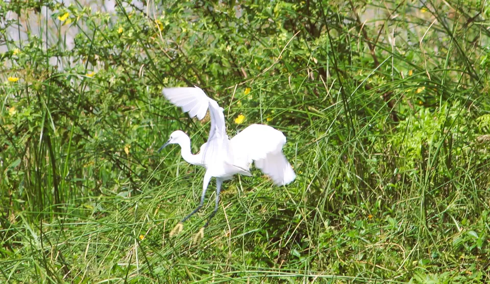 Photo of A Road Trip to Hassan: Temples, Trails & Tranquility by Rakesh Chilumuru