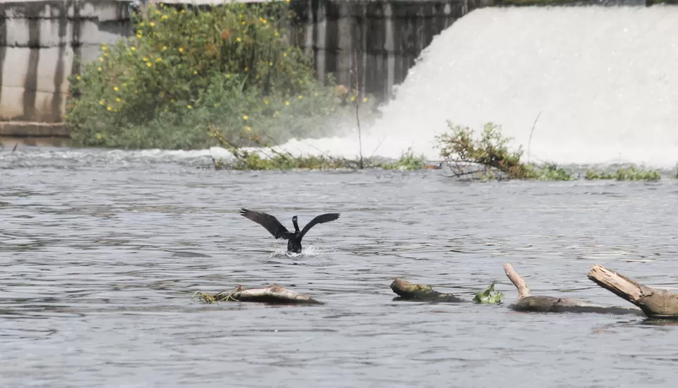 Photo of A Road Trip to Hassan: Temples, Trails & Tranquility by Rakesh Chilumuru