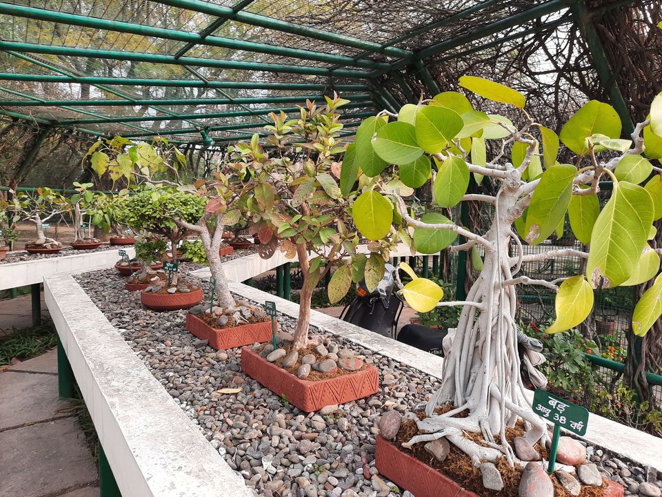 Photo of 10 Places Around Panchkula Town Park -Sector 5 by Unknown Geeks
