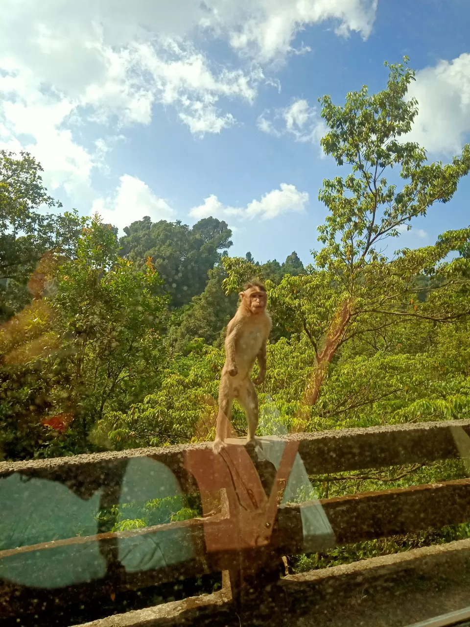 Photo of Perfect 4-days Itinerary for Offbeat locations near Hassan and Kudremukh by Kardam Doshi