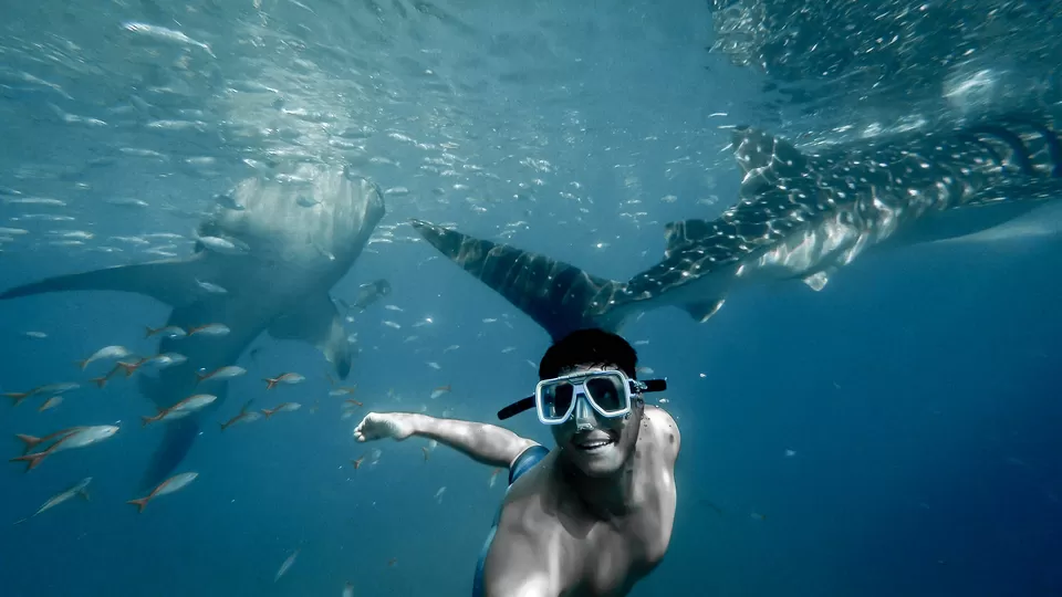 Photo of These Adventure Activities in and around Sydney Are Perfect for a Taste of Adrenaline by Sushantika