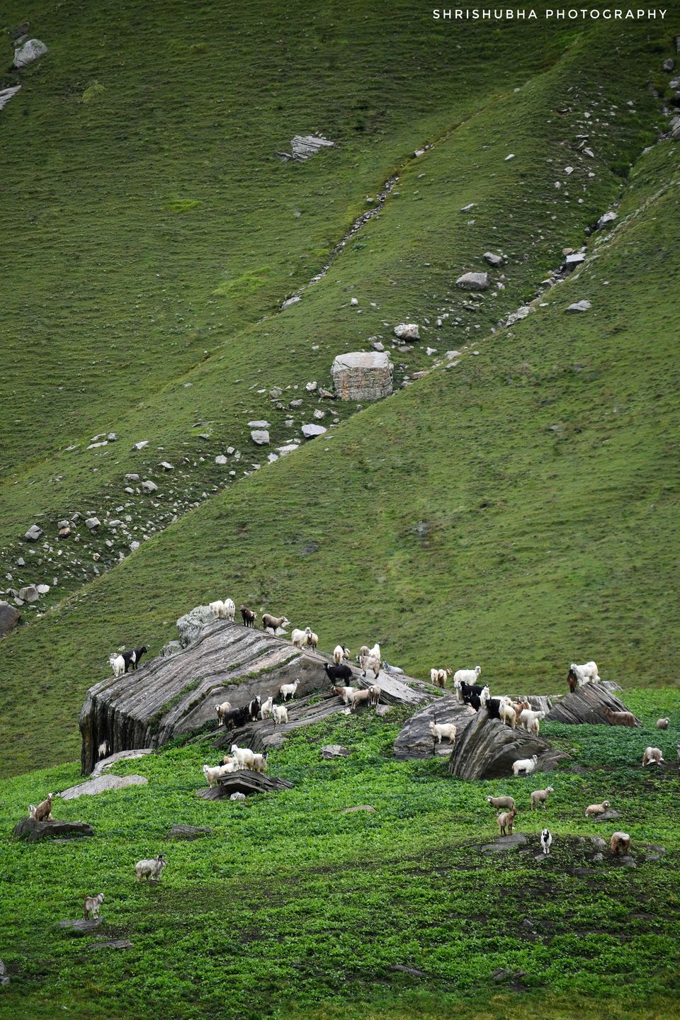 Photo of Spiti - A Destination for the Soul... by Sachin Pawar