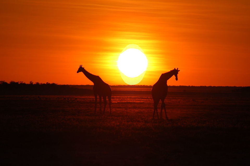 Photo of Read This Before You Plan a Family Holiday in Namibia – Prepare for an Amazing Getaway! by Ayodha Iruni Wijesinghe