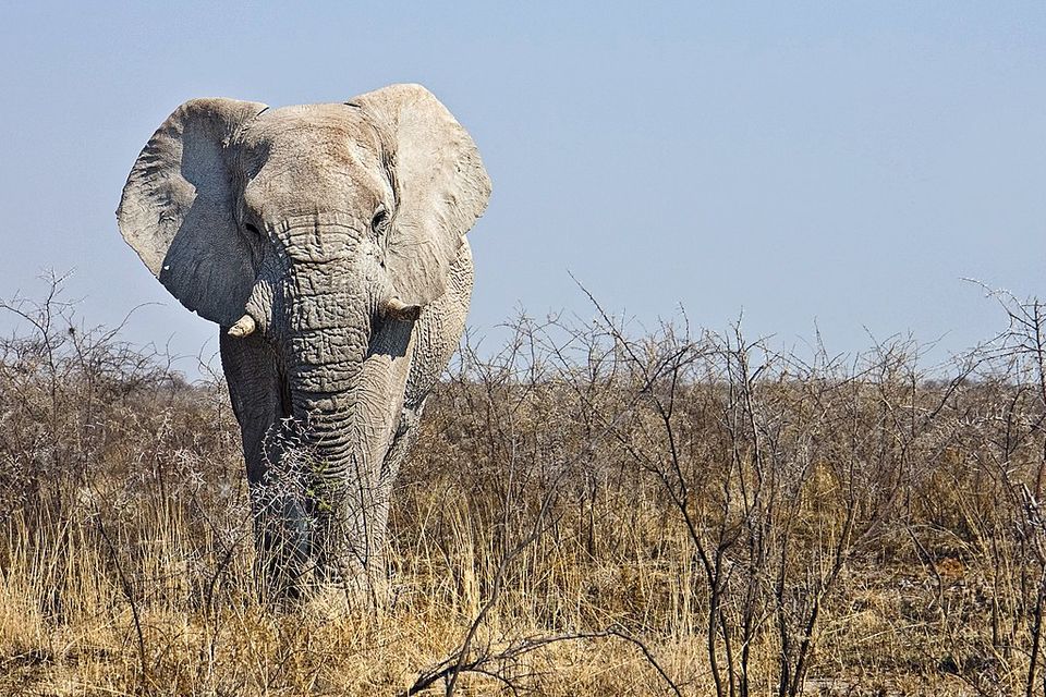 Photo of Read This Before You Plan a Family Holiday in Namibia – Prepare for an Amazing Getaway! by Ayodha Iruni Wijesinghe