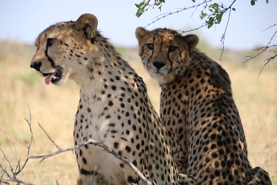 Photo of Read This Before You Plan a Family Holiday in Namibia – Prepare for an Amazing Getaway! by Ayodha Iruni Wijesinghe