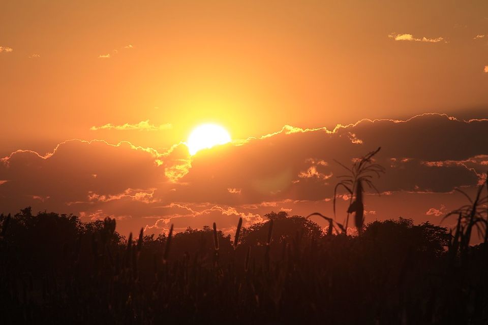 Photo of Read This Before You Plan a Family Holiday in Namibia – Prepare for an Amazing Getaway! by Ayodha Iruni Wijesinghe