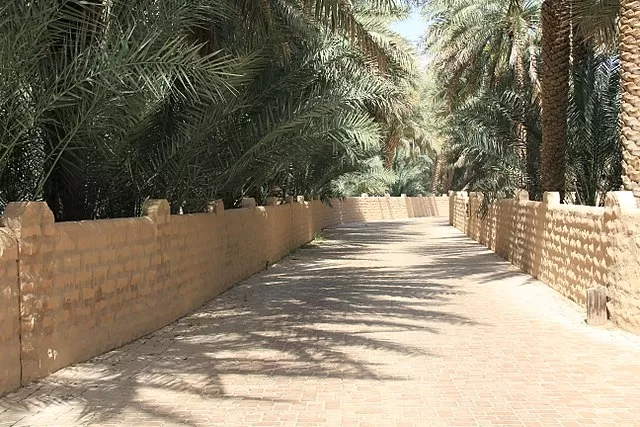 Photo of 5 Amazing Facts About Abu Dhabi: Where Tradition and Innovation Converge! by Ayodha Iruni Wijesinghe