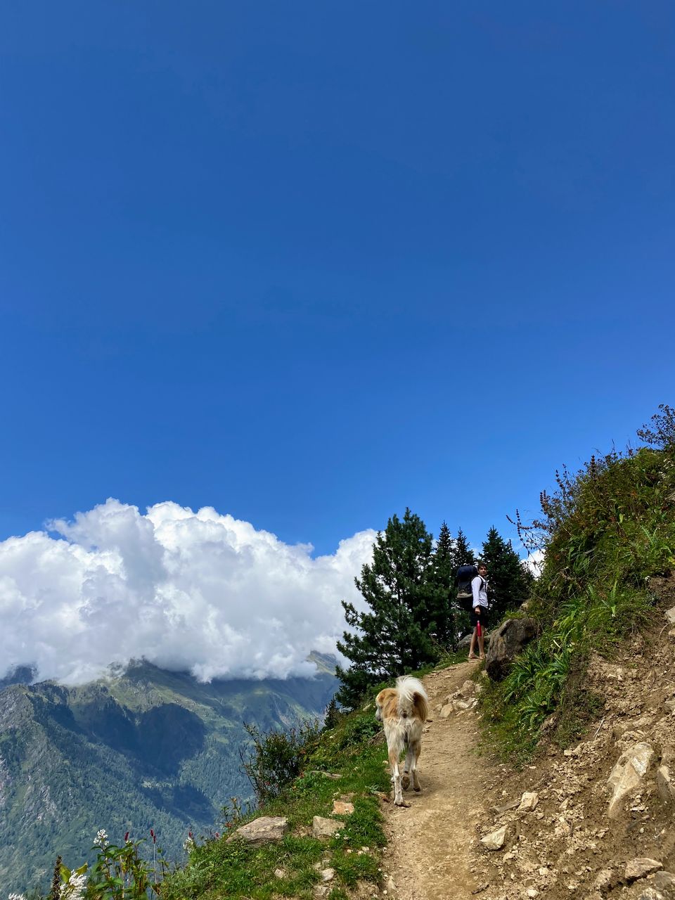 Photo of Far-out in Parvati: Trekking from Kalga to Kheerganga via Bunbuni Pass by Digital Nomad