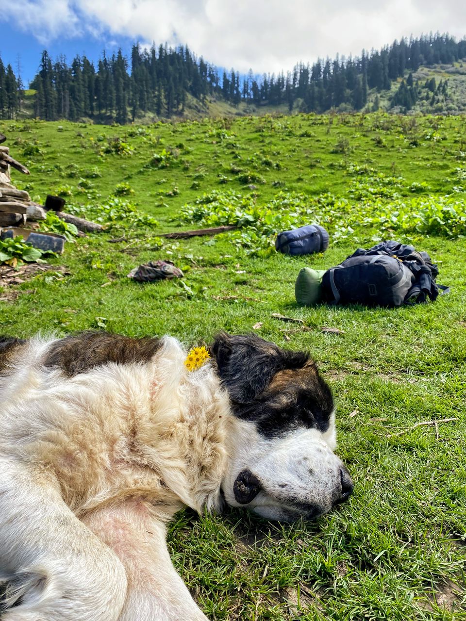 Photo of Far-out in Parvati: Trekking from Kalga to Kheerganga via Bunbuni Pass by Digital Nomad