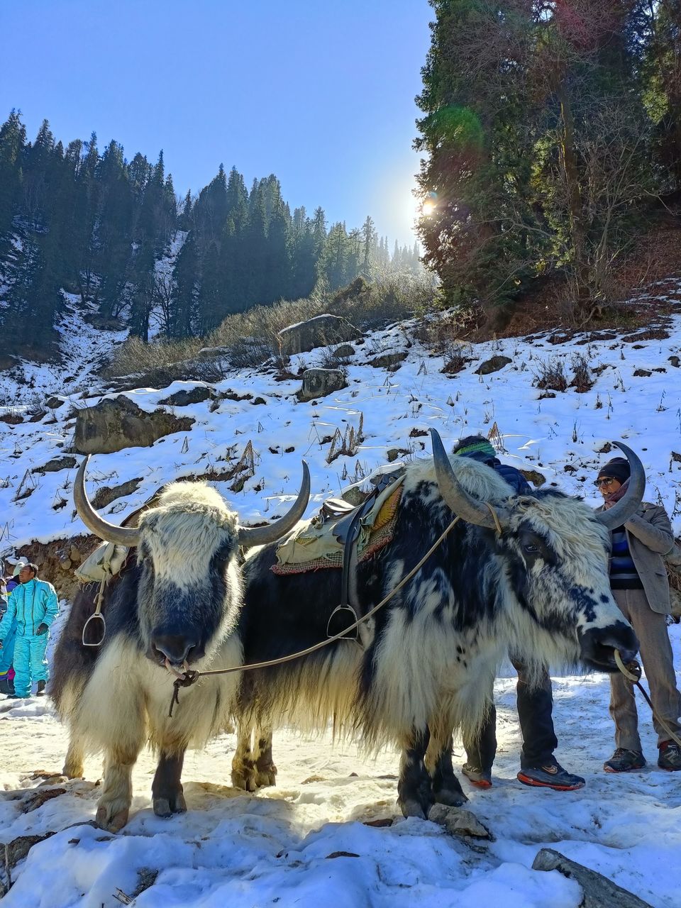 Photo of Time To Visit Famous Manali by Ritesh Dixit