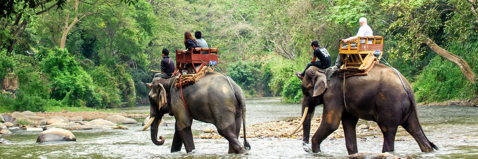 Photo of Wild Getaways in Manas National Park by Siddhartha