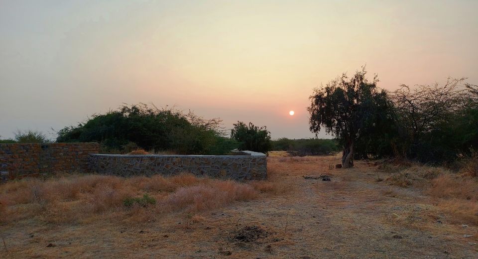 Photo of Gujarat and the Indus Valley Civilization - Lothal and Dholavira (Part 2) by Pushpa Kurup