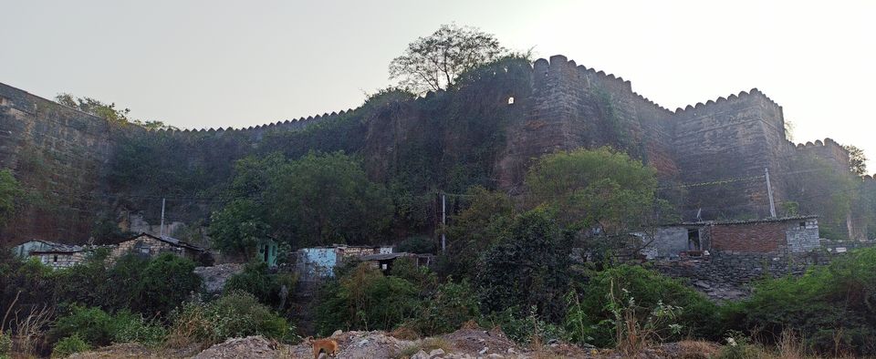 Photo of Junagadh- Ashoka's Choice and Nawabi Grandeur by Pushpa Kurup