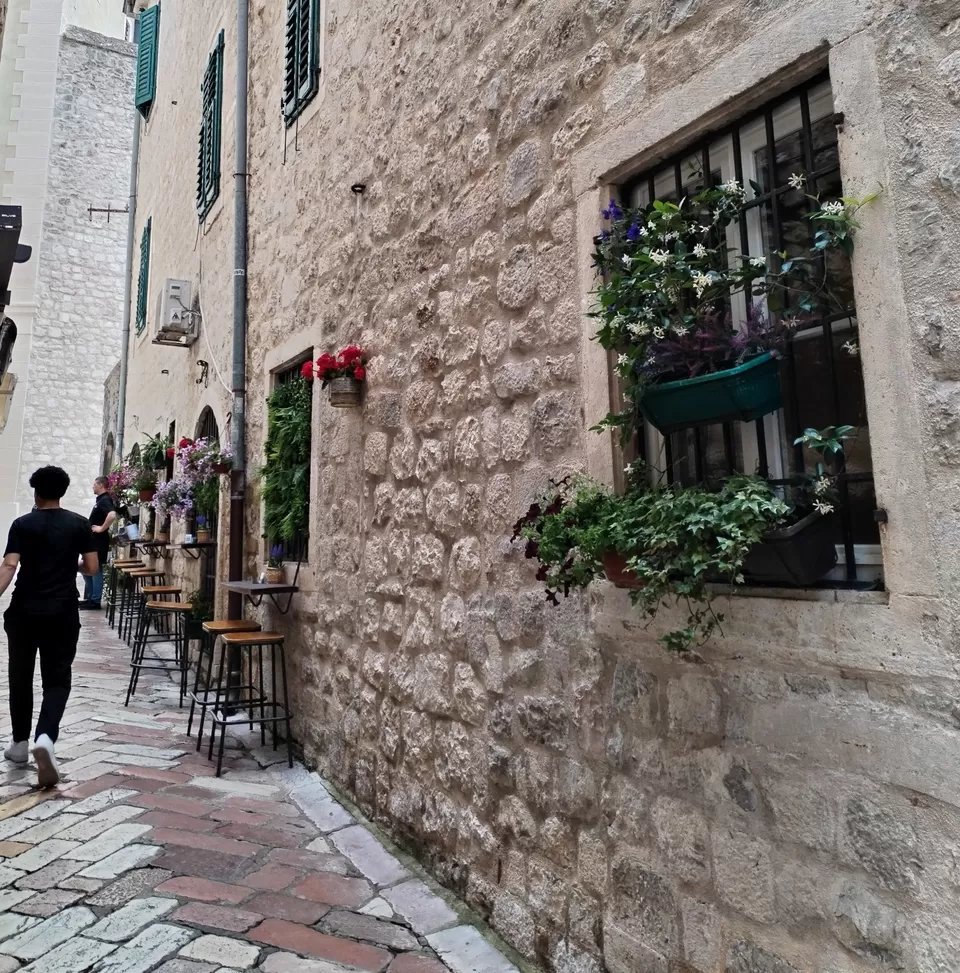 Photo of Go Montenegro! by Pushpa Kurup