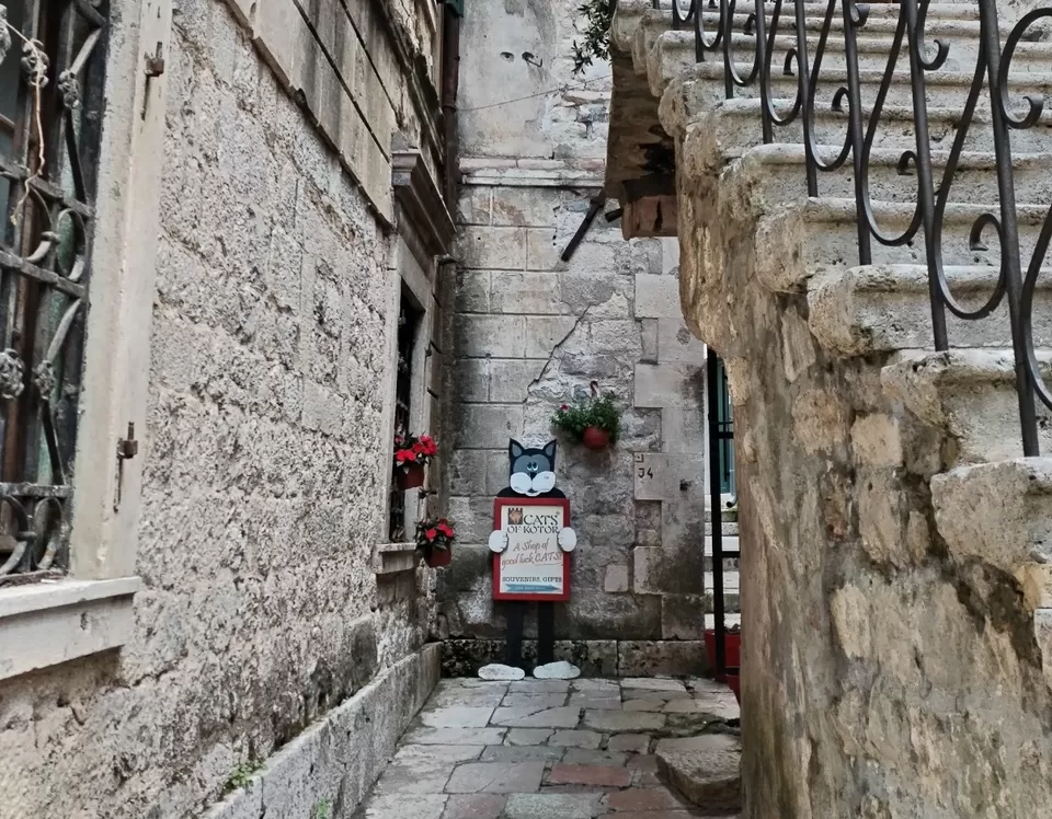 Photo of Go Montenegro! by Pushpa Kurup