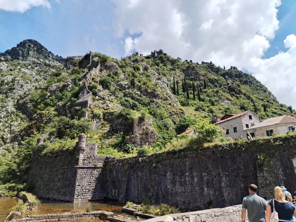 Photo of Go Montenegro! by Pushpa Kurup