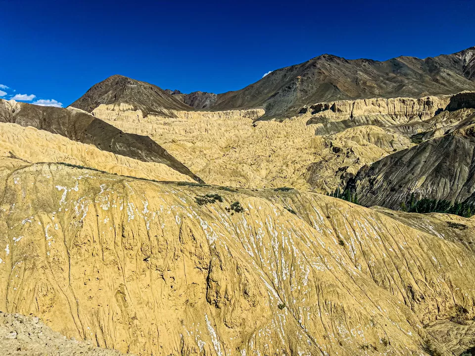 Photo of Lost in Ladakh: Mountains, Monasteries & Magic by Paridhi Agarwal
