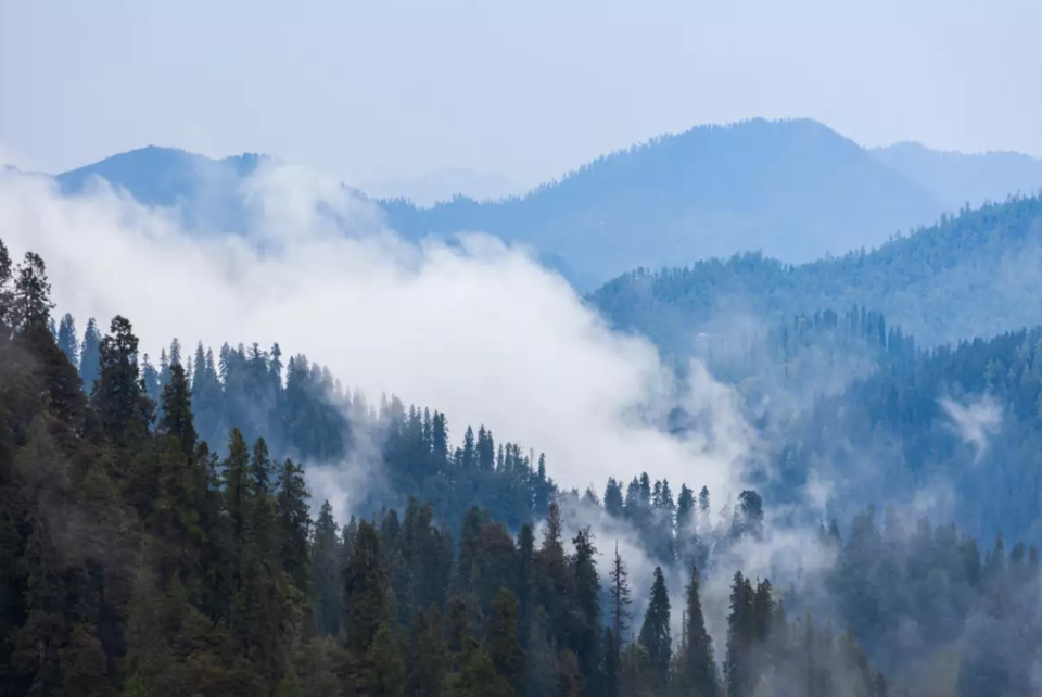 Photo of All You Need to Know About Travelling to Fagu, Himachal Pradesh by Sanghamitra Ghosh