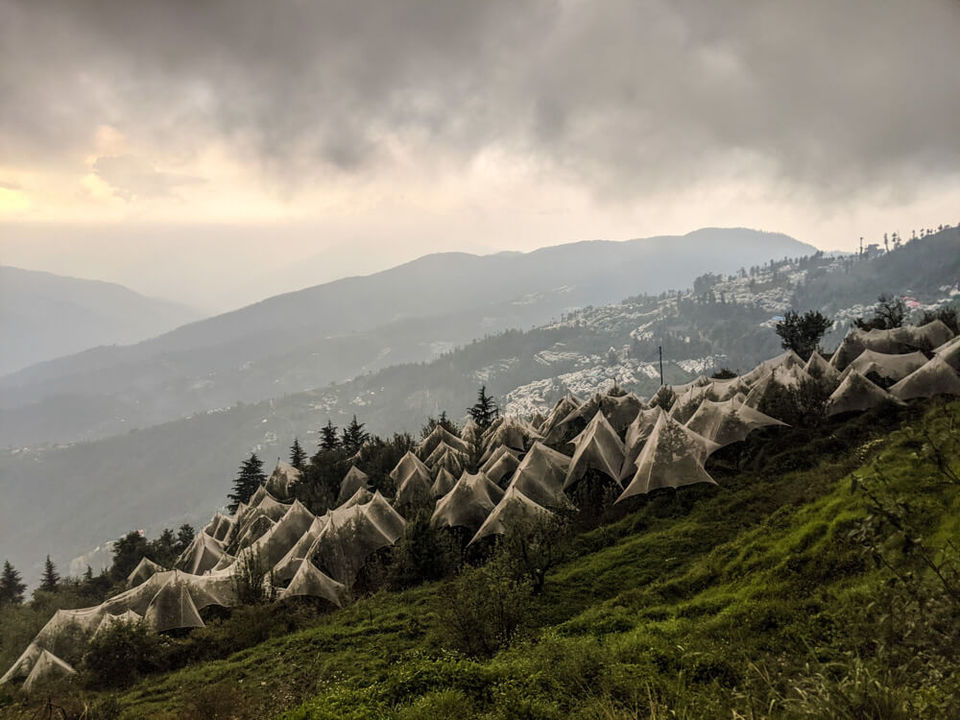 Photo of All You Need to Know About Travelling to Fagu, Himachal Pradesh by Sanghamitra Ghosh