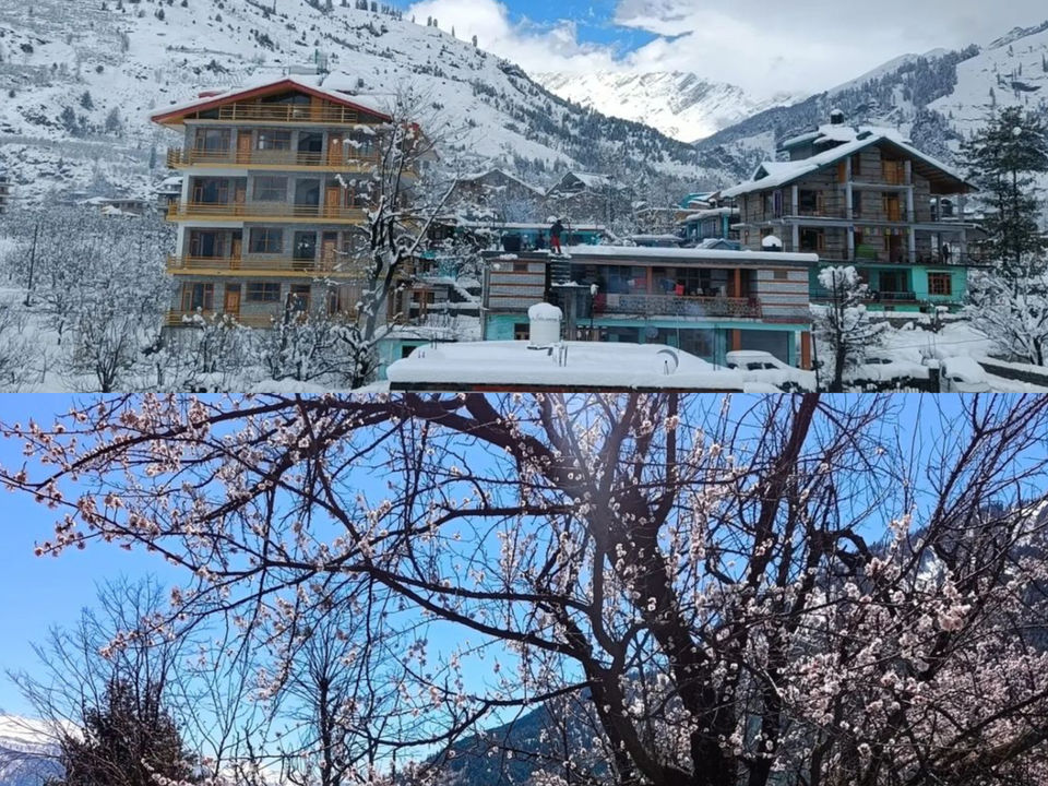 Photo of Just 6 Km from Manali, This Homestay Offers Stunning Mountain Views with Offbeat Experiences by Viralthewanderor