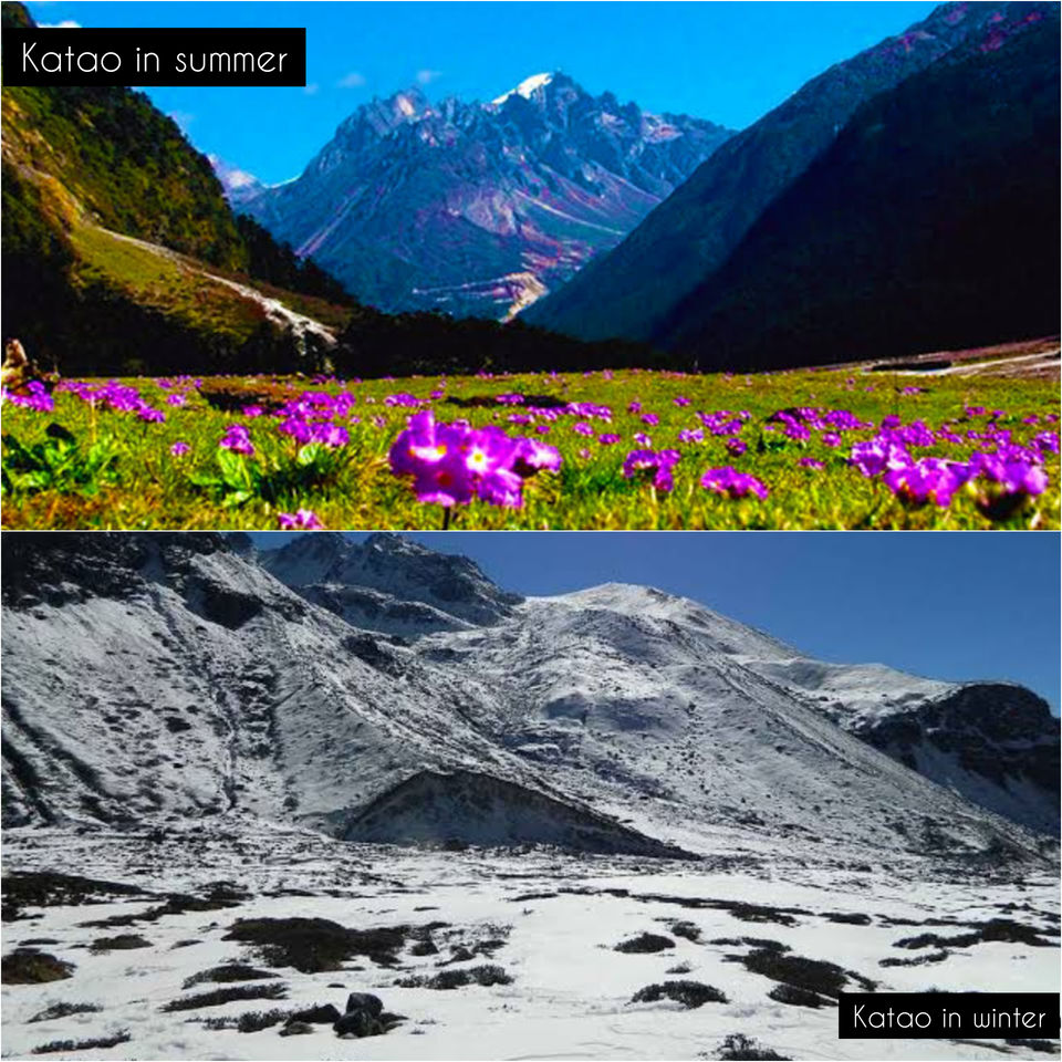 Photo of All you need to know about the gorgeous and Dramatic Zero point in Sikkim by Viralthewanderor
