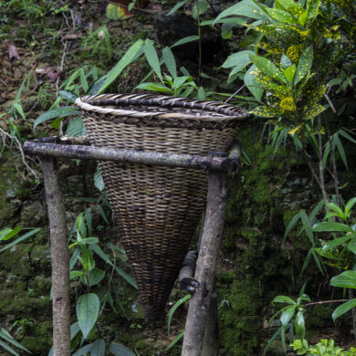 Photo of All You Need To Know About Bamboo Trek, Meghalaya by Viralthewanderor