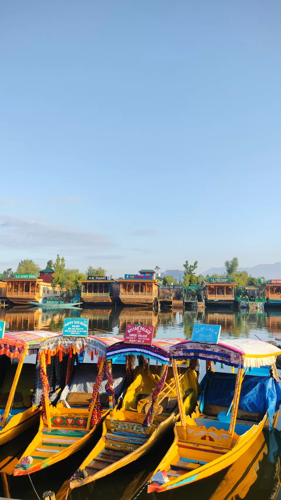 Photo of Kashmir Kaleidoscope: A Summer Odyssey by Nithin Manoj