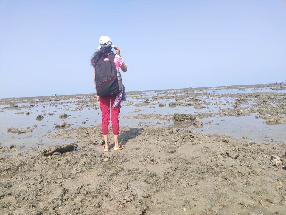 Photo of Seductive Coral Walk at Narara Marine National Park | Jamnagar | Gujarat | India by Sandy's Wanderlust